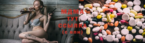 прущие грибы Щучье