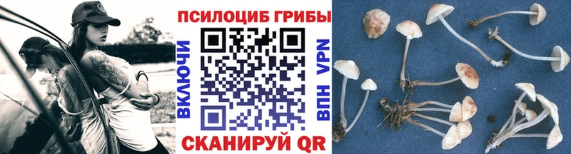 купить наркотик Симферополь Псилоцибиновые грибы MAGIC MUSHROOMS
